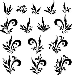 Set Floral Patterns, Black Contours Isolated on White Background. Vector