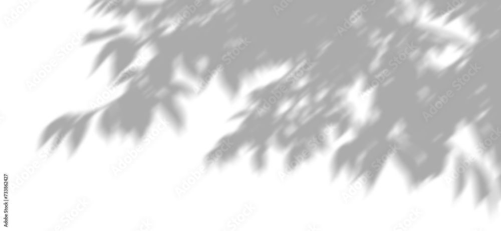 Poster tree branches shade clipart on transparent backgrounds 3d rendering png