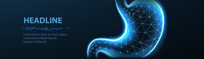 Abstract wireframe stomach illustration. Stomach anatomy, 3D gastroenterology