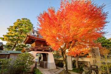 大津市、浮御堂のある満月寺の山門と紅葉
