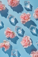 Delicate pink roses paired with melting ice cubes on a blue backdrop, creating an elegant contrast