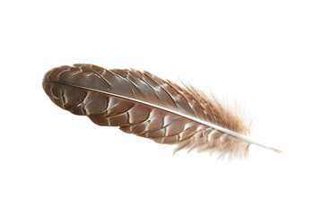 Owl Feather on Transparent Background, PNG