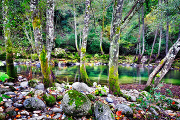 Rio Arenal