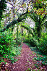 Senda de los pescadores