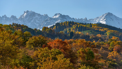 Trees with autumn foliage on the slopes of the Zailiyskiy Alatau mountains in Kazakhstan