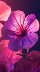 Petunia Radiance: Illuminate your screen with the radiant glow of a petunia bloom in portrait mode.