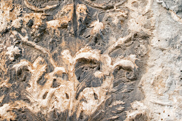 antique abstract floral ornament relief under the triumphal arch