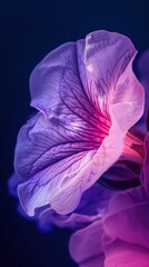 Petunia Radiance: Illuminate your screen with the radiant glow of a petunia bloom in portrait mode.