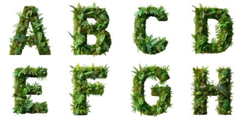 Foto op Plexiglas Letters A, B, C, D, E, F, G, H are made of the vibrant green ecosystem of moss, ferns, and monstera plants. © TechnoMango