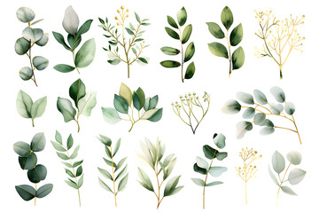 Watercolor design elements collection of leaves, branches