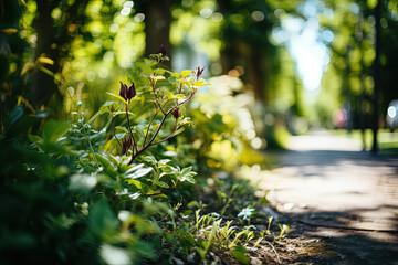 Small plant defying urban sprawl, thriving against all odds on side of bustling road