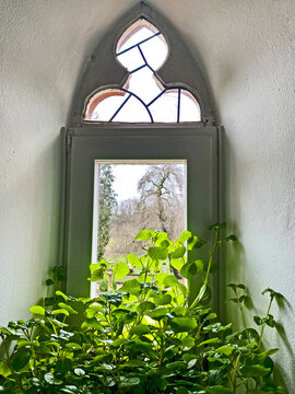 Gotisches Turmfenster, Pflanzen im Vordergrund verdecken teils die Aussicht in die Natur