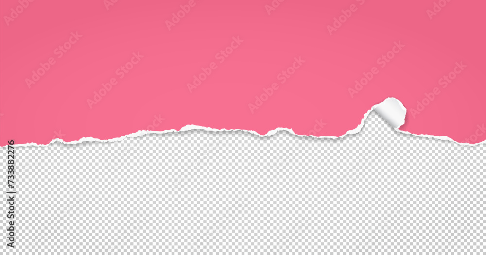 Poster torn, ripped pink paper strip with soft shadow is on white squared background for text. vector illus