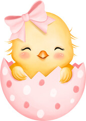 Cute Chick in Egg