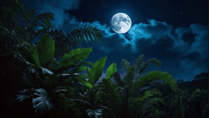 Obraz premium night landscape with moon