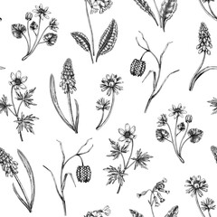 wildflower, flower, seamless, pattern, hand drawn, sketch, spring, floral, backdrop, background, beautiful, bloom, blossom, bluebell, botanical, decorative, design, detailed, drawing, drawn, easter, e