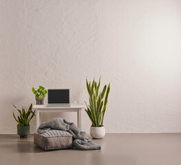 Grey stone wall background and floor, vase of green plant, desk, laptop and frame.