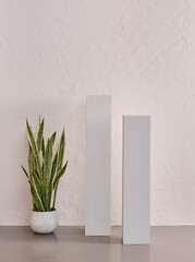 Grey wall background, vase of plant, home design.