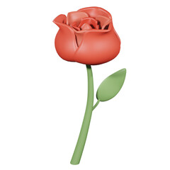 Red rose isolated on white