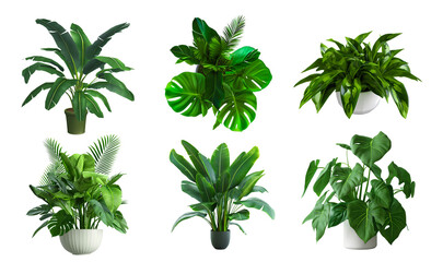 Set of artificial plants isolated on white transparent background.  House plants. composition and architecture visualization, png