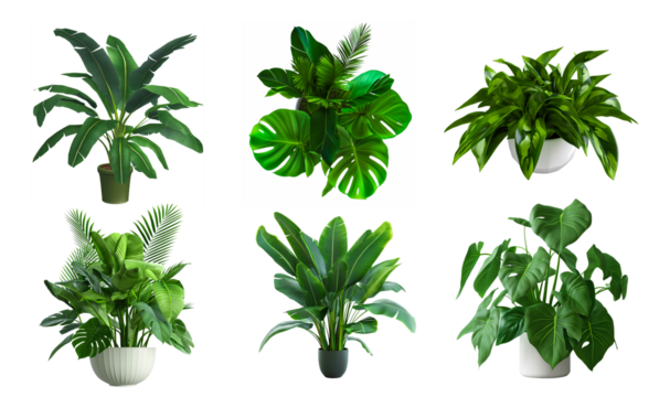 Set of artificial plants isolated on white transparent background.  House plants. composition and architecture visualization, png