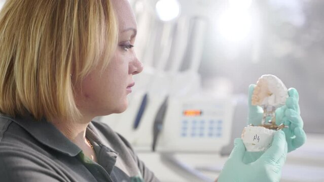 Female dental technician looking at plaster cast of jaws while making denture in dental laboratory. Female dentist checking quality of denture in the modern stomatology office. Prosthetic dentistry.