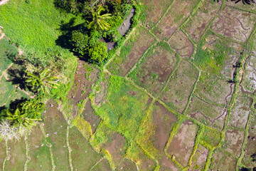 Aerial view of rice fields in the Philippines.