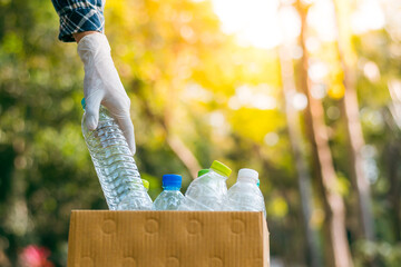 Plastic bottle waste for recycling, reuse concept. Volunteers store plastic bottles in cardboard...