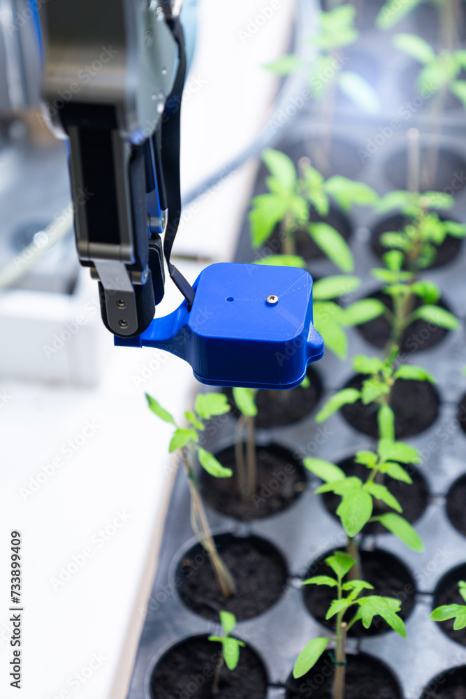 Leinwandbilder a robot in a greenhouse evaluates the quality of tomato seedlings using a sensor. smart farming conc