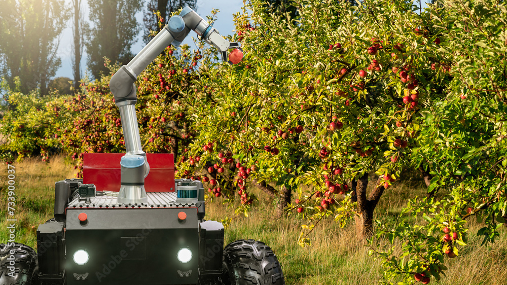 Leinwandbilder autonomous robot harvester with robotic arm harvesting apples on a smart farm. concept