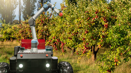 Autonomous robot harvester with robotic arm harvesting apples on a smart farm. Concept