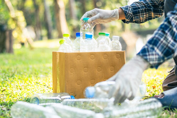 Plastic bottle waste for recycling, reuse concept. Volunteers store plastic bottles in cardboard...