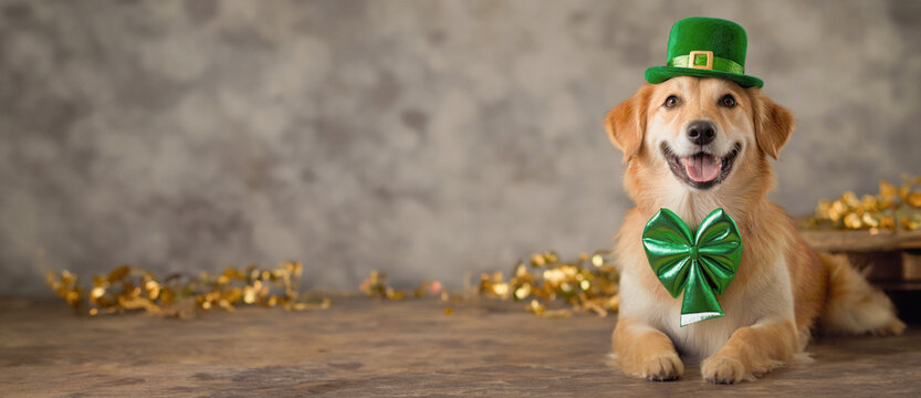 Happy dog celebrating St. Patrick's Day, close-up. A young dog in a leprechaun hat. Panorama. St. Patrick's Day theme concept. Copy space. created by artificial intelligence