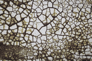 Weathered rough painted surface with patterns of cracks and peeling. Panoramic texture for background and design. Old cracked paint on the concrete wall. Cracked and peeling weathered paint. 