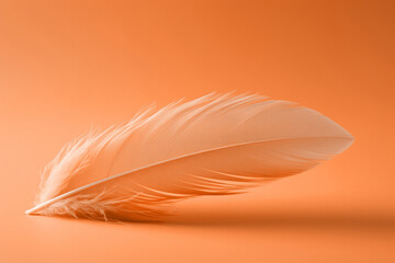 A soft peach fuzz color feather lying on minimal background. Modern trendy tone hue shade