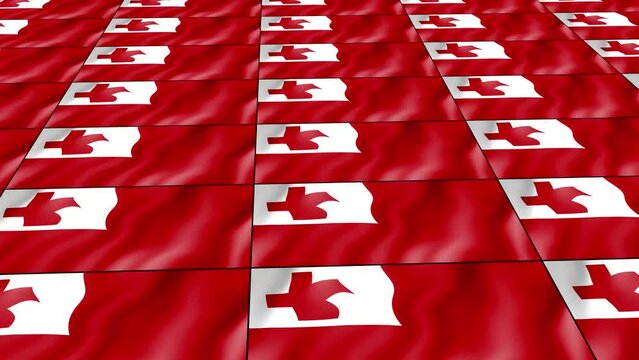 Tonga flag wave 3d rotating view animated wallpaper background