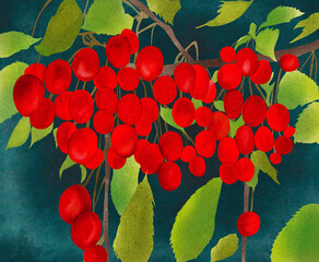 Obraz premium Ilustracja owoce czereśnie wiśnie na gałęziach ciemne tło.