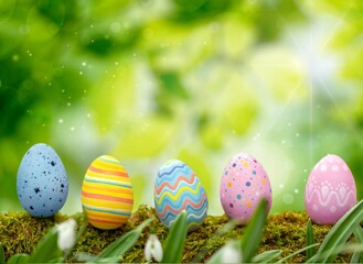 Colorful Easter Eggs on Spring Background