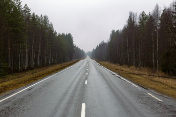 Fototapeta premium fogy street in finland along a forest
