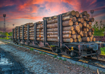 Freight train loaded with logs