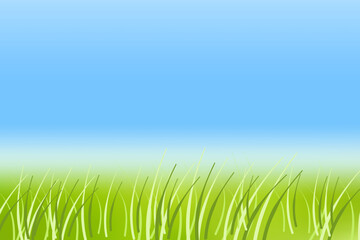 Fototapeta premium Abstract spring or summer vector background. Vector illustration. Blue sky and grass. Empty