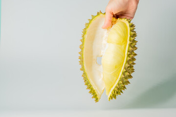 Durian mon thong is king of fruits durian on white background. Pulp of fresh Durian yellow color.