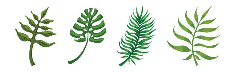 Tropical Exotic Green Leaves and Foliage Vector Set