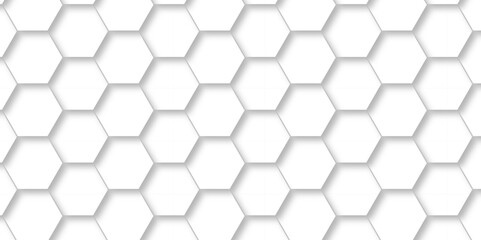 Abstract modern Background with white lines 3d Hexagonal structure futuristic white background and Embossed Hexagon , honeycomb white Background ,light and shadow ,Vector.