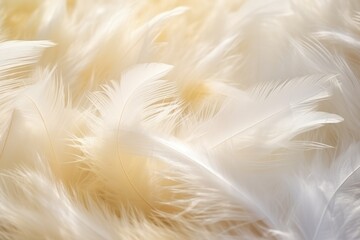 Feathers background for peace calm, Closeup, white and feathers background for spirituality for God, religion and hope, Ai generated