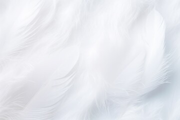 Obraz premium Closeup, white and feathers background for peace, white and feathers background for spirituality for God, religion and hope, Ai generated