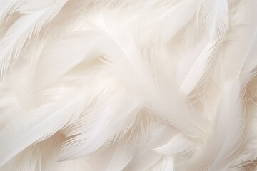 Closeup, white and feathers background for peace, white and feathers background for spirituality for God, religion and hope, Ai generated
