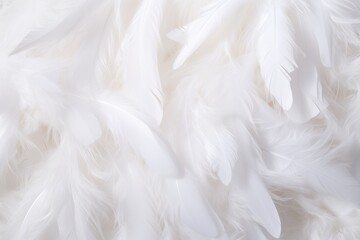 Feathers background for peace calm, Closeup, white and feathers background for spirituality for...