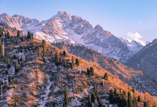 Consequences of a strong hurricane in the form of fallen trees on a mountain slope; picturesque mountain valley in autumn season