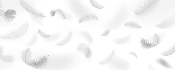 Fototapeta na wymiar Flying plumage pattern realistic vector illustration. Floating quills. Weightless bird feathers 3d design elements on white background